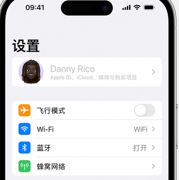 浦江appleID维修服务iPhone设置中Apple ID显示为灰色无法使用 