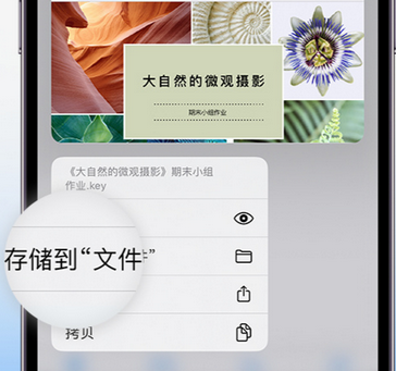 浦江apple维修中心分享iPhone文件应用中存储和找到下载文件