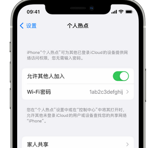 浦江apple服务站点分享iPhone上个人热点丢失了怎么办 