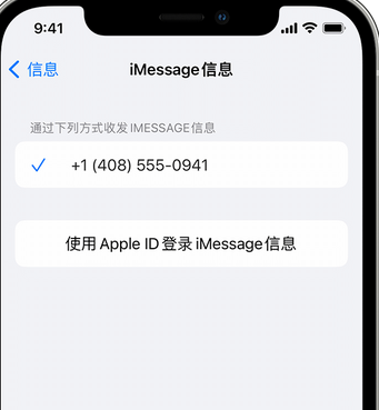 浦江apple维修iPhone上无法正常发送iMessage信息 