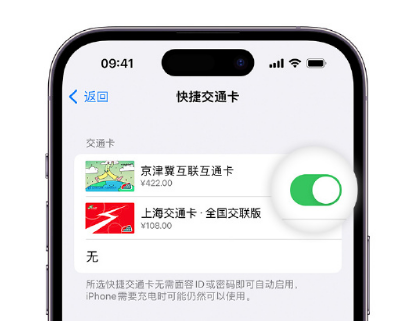 浦江apple维修点分享iPhone上更换Apple Pay快捷交通卡手绘卡面 