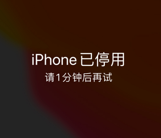 浦江苹果手机维修分享:iPhone 显示“不可用”或“已停用”怎么办？还能保留数据吗？ 