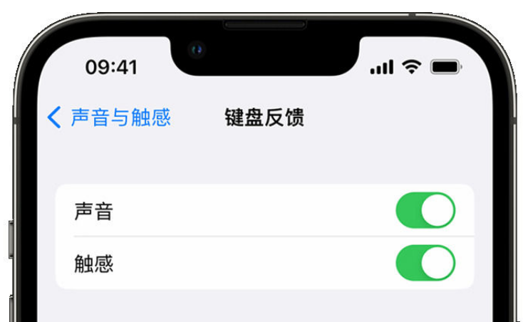 浦江苹果手机维修分享iPhone 14触感键盘使用方法 