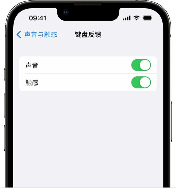 浦江苹果14维修店分享如何在 iPhone 14 机型中使用触感键盘 