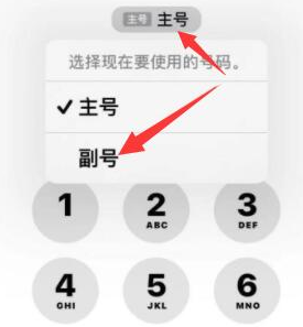 浦江苹果14维修店分享iPhone 14 Pro Max使用副卡打电话的方法 