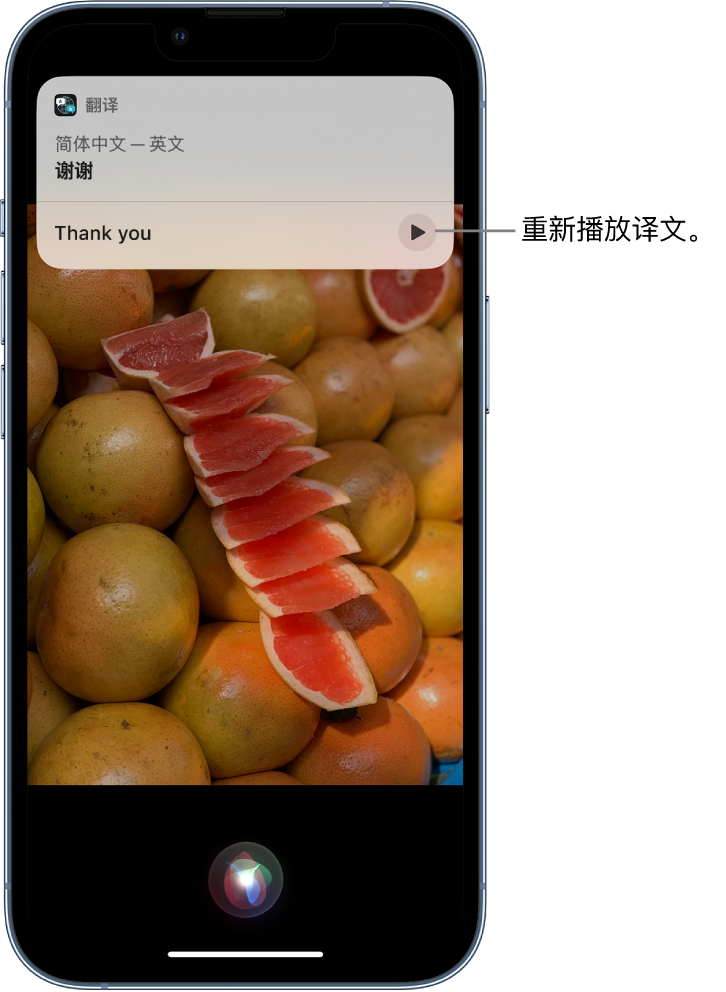 浦江苹果14维修分享 iPhone 14 机型中使用 Siri：了解 Siri 能帮你做什么 