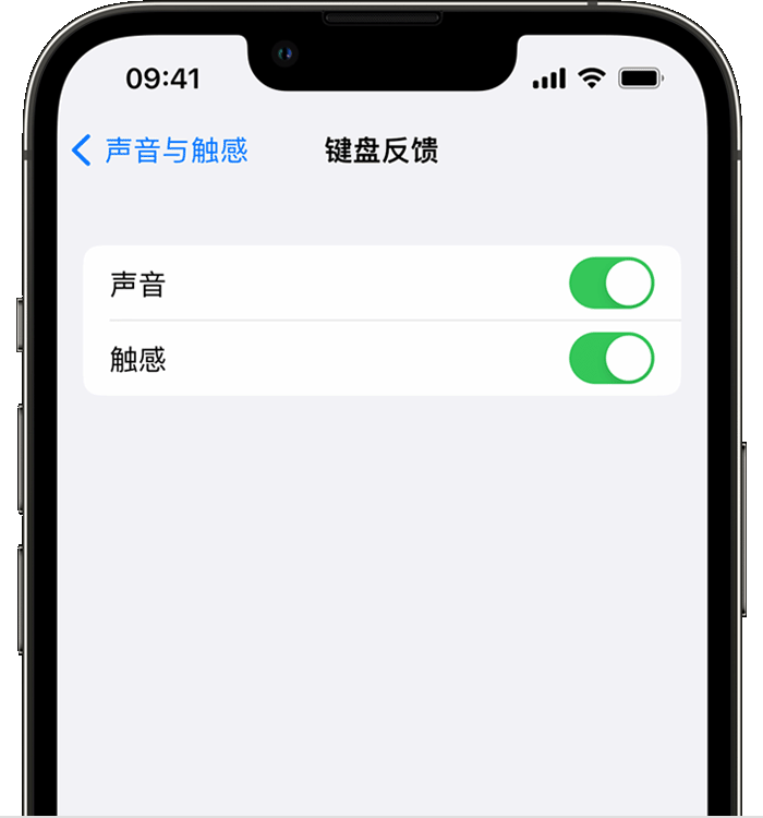 浦江苹果14维修分享iPhone 14 系列机型如何开启键盘声音或触感反馈 