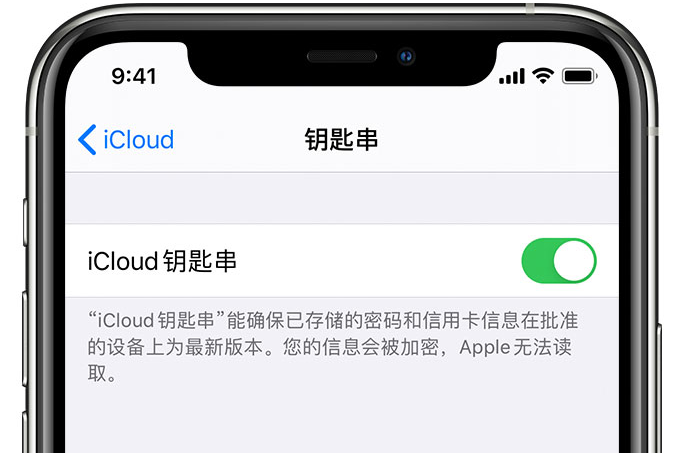 浦江苹果手机维修分享在 iPhone 上开启 iCloud 钥匙串之后会储存哪些信息 