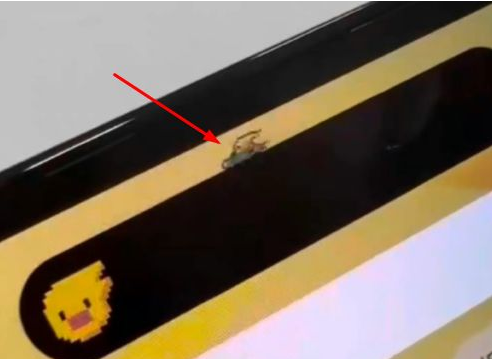 浦江苹果14维修分享iPhone 14 Pro Max灵动岛怎么养宠物 