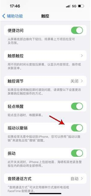 浦江苹果手机维修分享iPhone手机如何设置摇一摇删除文字 