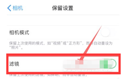 浦江苹果13维修分享iPhone13拍照有绿点是怎么回事 