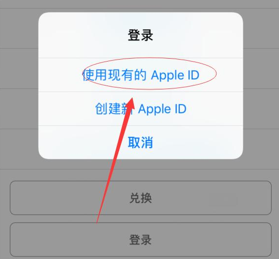 浦江苹果手机维修分享两台iPhone设备可以同时登录一个Apple ID吗 