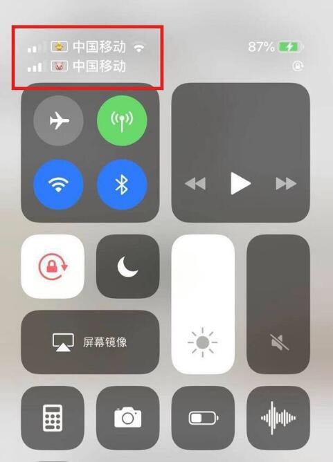 浦江苹果手机维修分享为 iPhone 12 双卡设置标签 