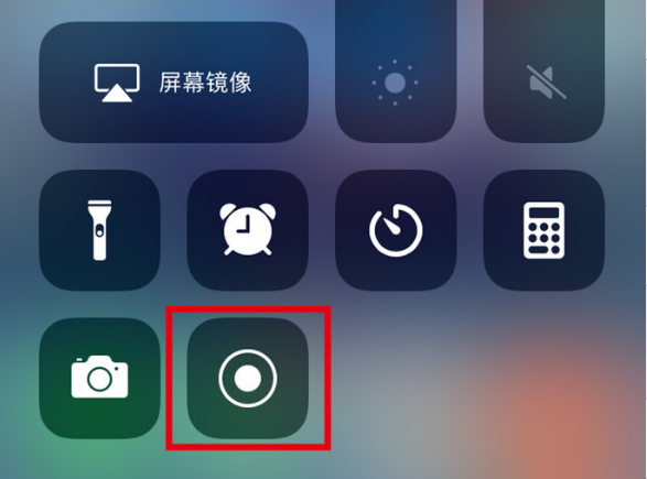 浦江苹果手机维修分享iPhone12录屏方法教程 
