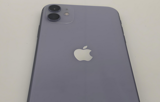 浦江苹果11系统维修分享iPhone11手机系统崩溃无法开机如何解决 