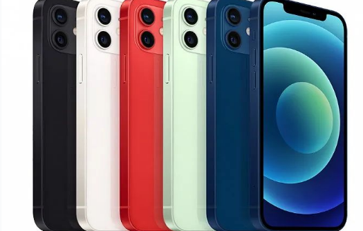 浦江苹果维修点分享iPhone12 Pro Max进水维修 